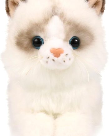 Ice King Bear Little Ragdoll Cat Stuffed Animal Kitten Plush Toy (Lying)