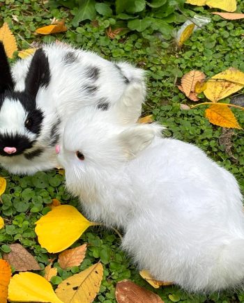 2 Realistic Rabbit Figurines - Lifelike Easter Bunnies Stuffed Farm Animal Plush Dutch Rabbit Statue Photo Props Spring Home Decoration (White+Black&White)