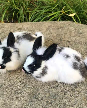 2 Realistic Panda Rabbit Figurines - Plush Dutch Rabbits, Stuffed Farm Animal Models, Lifelike Easter Bunnies Statue Photo Props Spring Home Decoration Collectible Gift (2xBlack&White)