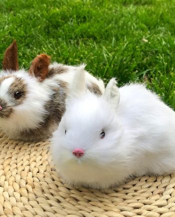 Pack of 2 Realistic Furry Plush Rabbits Figurines Stuffed Farm Animal Models Home Decoration Lifelike Easter Bunnies Statue Photo Props Kids Gift (White+White&Brown)