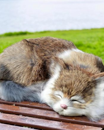 Lifelike Brown and White Sleeping Cat Figurine - Realistic Curled Up Doughnut Pose Fawn Bicolor Kitten Statue, Faux Fur Kitty Home Decor Gift